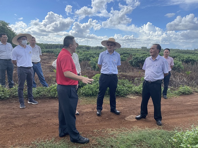 雙層機(jī)械停車位